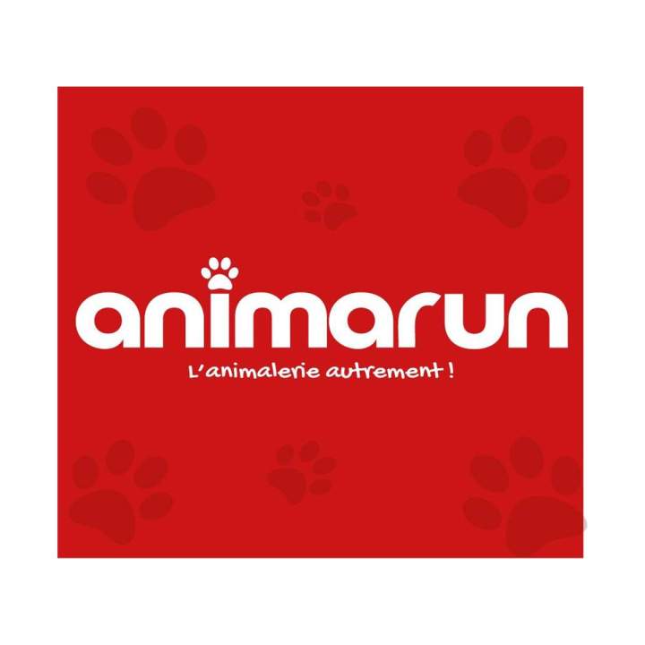 Logo animarun